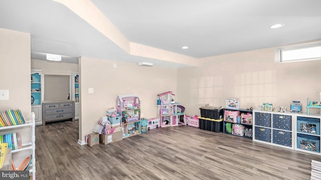 playroom with hardwood / wood-style flooring