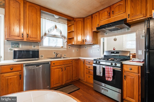 kitchen with ventilation hood, sink, stainless steel appliances, and a wealth of natural light