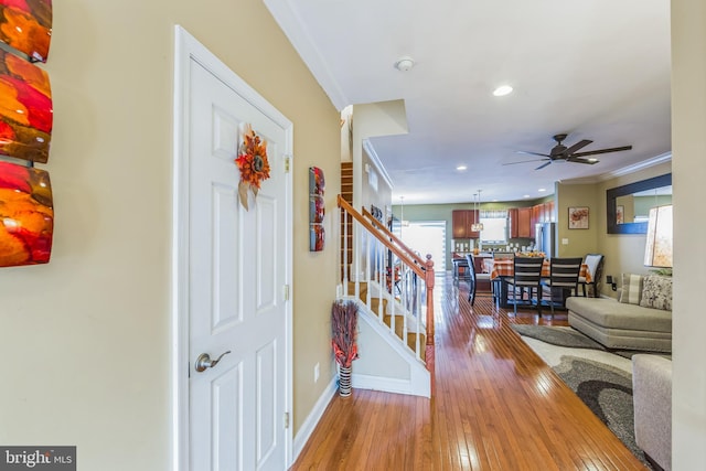 foyer featuring light hardwood / wood-style flooring, ceiling fan, and ornamental molding