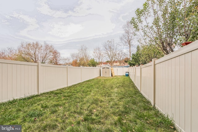 view of yard with a storage shed