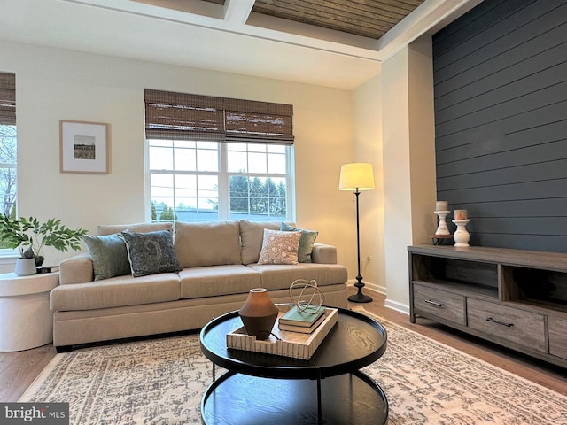 living room with light hardwood / wood-style floors