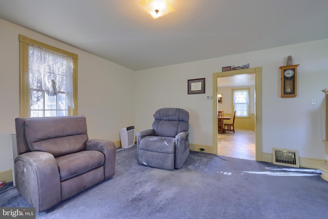 living area with carpet and a healthy amount of sunlight