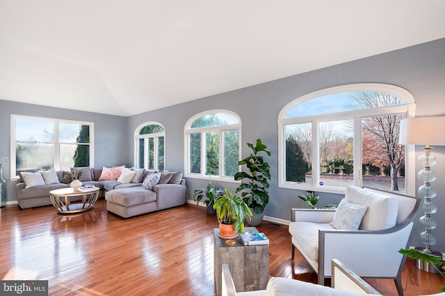 living room featuring hardwood / wood-style floors, vaulted ceiling, and a healthy amount of sunlight