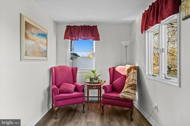 sitting room with a baseboard radiator and hardwood / wood-style flooring