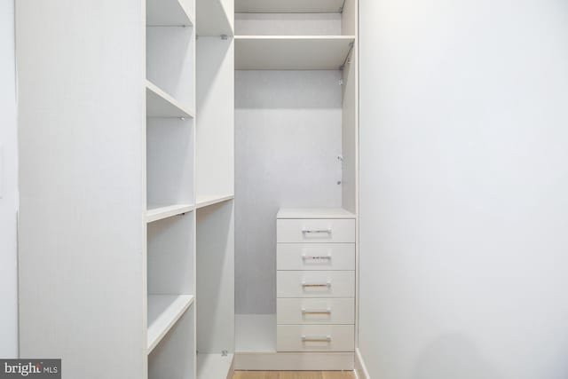 spacious closet featuring light wood-type flooring