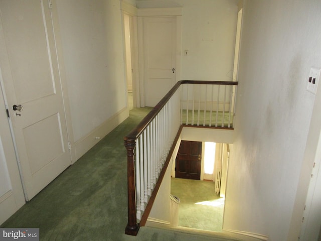 stairway featuring carpet flooring