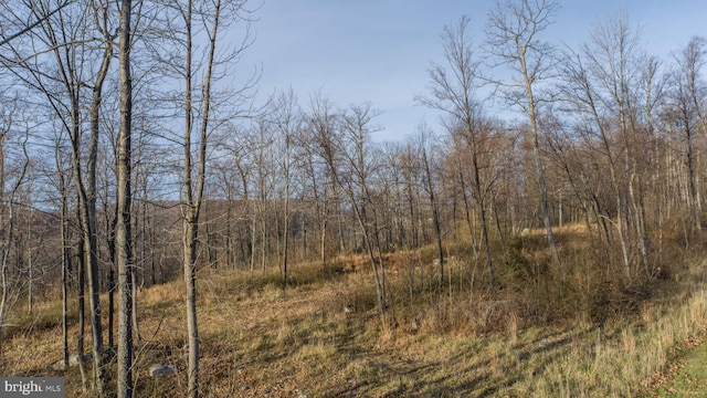 LOT26 Rocky Gap Trl, Mc Henry, MD 21541