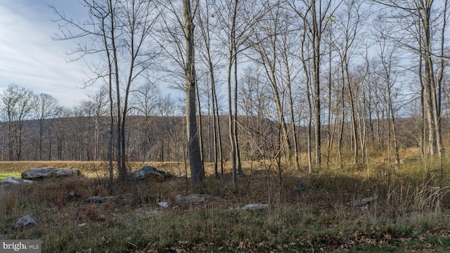 LOT26 Rocky Gap Trl, Mc Henry, MD 21541