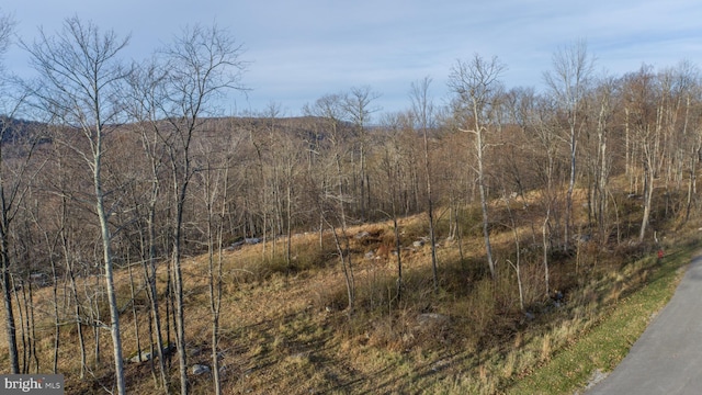 LOT26 Rocky Gap Trl, Mc Henry, MD 21541