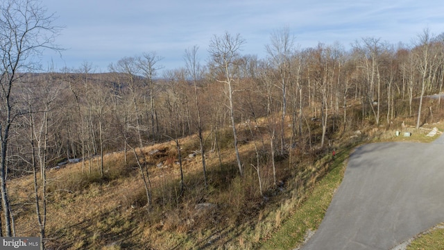 LOT26 Rocky Gap Trl, Mc Henry, MD 21541