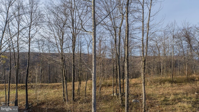 LOT26 Rocky Gap Trl, Mc Henry, MD 21541