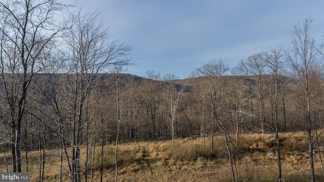 LOT26 Rocky Gap Trl, Mc Henry, MD 21541