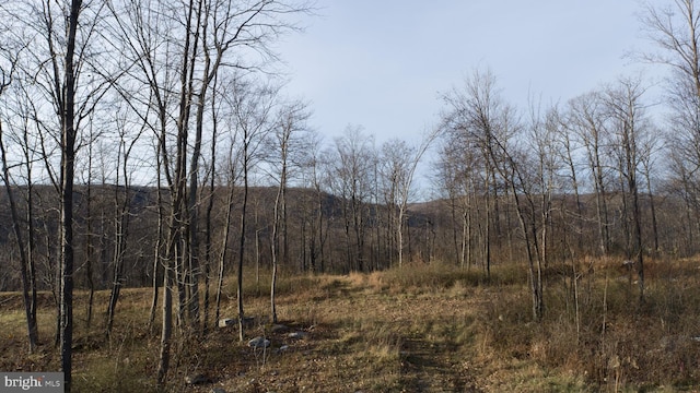 LOT26 Rocky Gap Trl, Mc Henry, MD 21541