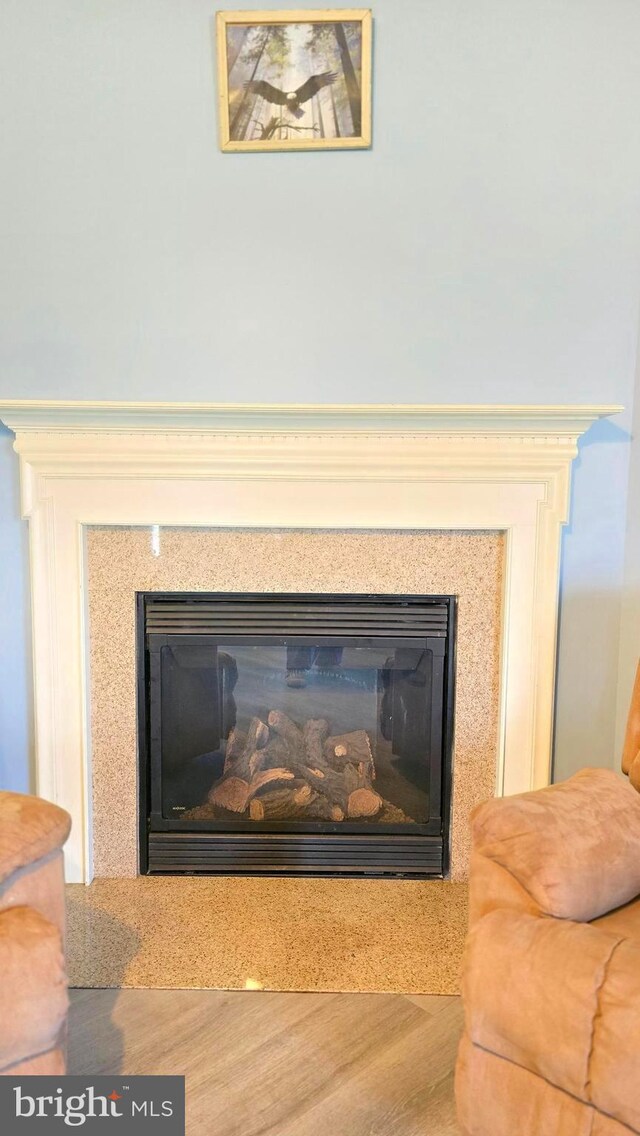 details with a premium fireplace and hardwood / wood-style flooring