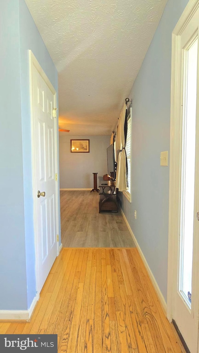 corridor with a textured ceiling, light hardwood / wood-style flooring, and a wealth of natural light