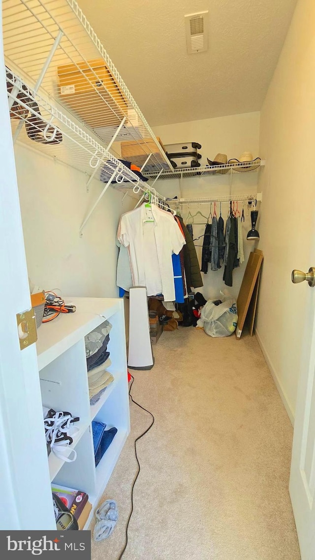 walk in closet featuring carpet flooring