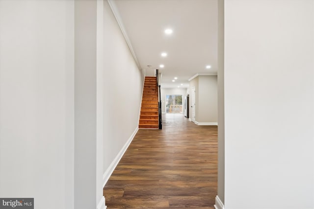 hallway with dark hardwood / wood-style flooring and crown molding