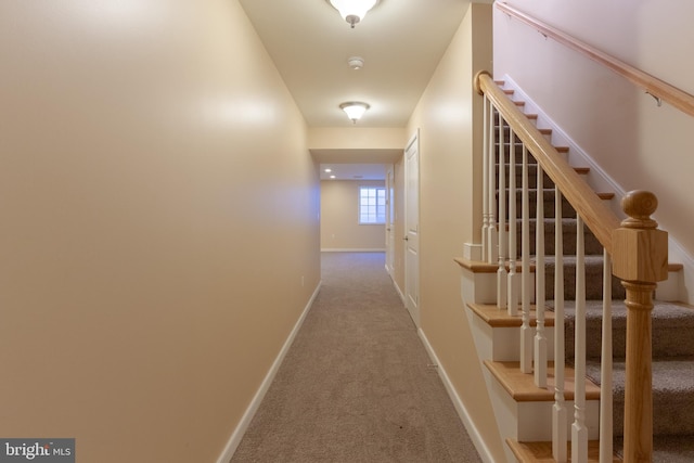 hallway with carpet floors