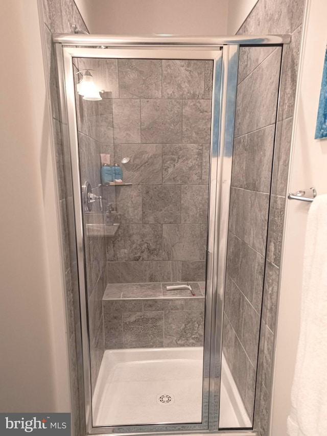 bathroom featuring a shower with shower door