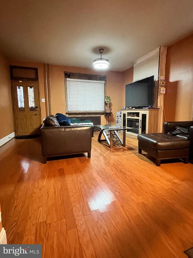 living room featuring wood-type flooring