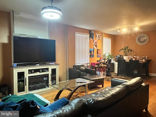 living room with wood-type flooring