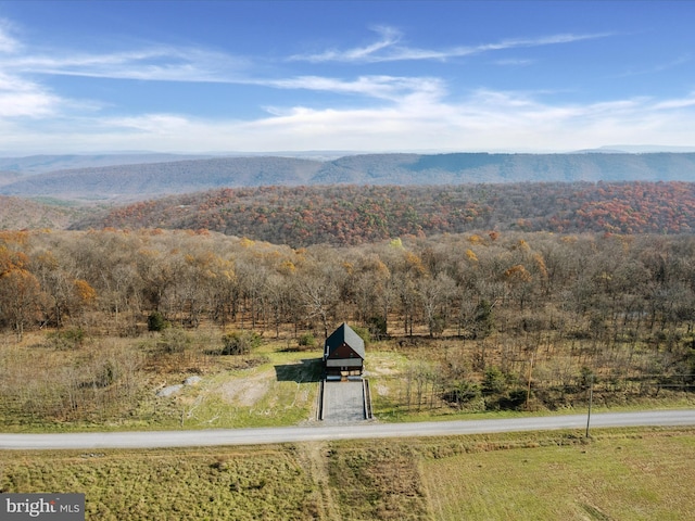 view of mountain feature