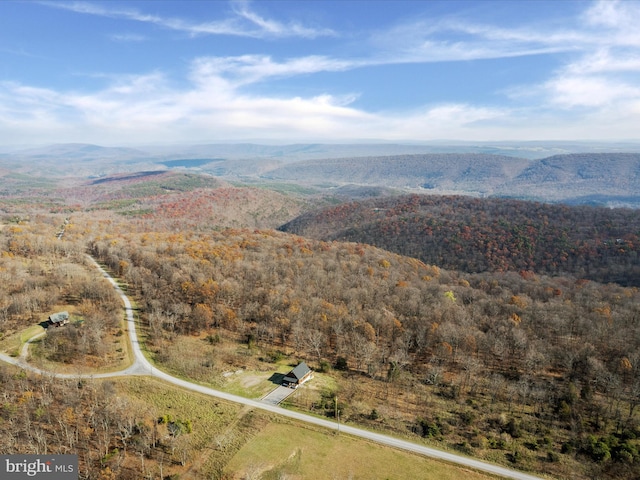 birds eye view of property featuring a mountain view