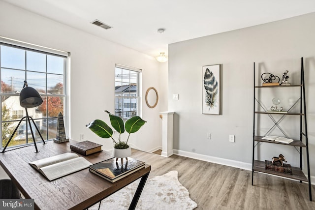 living room featuring plenty of natural light and wood-type flooring