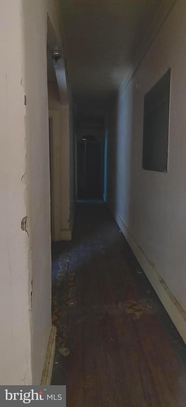 hallway featuring dark wood-type flooring