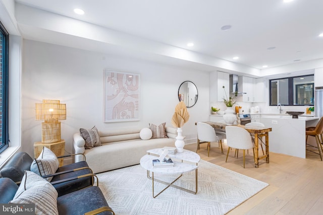 living room with light hardwood / wood-style floors