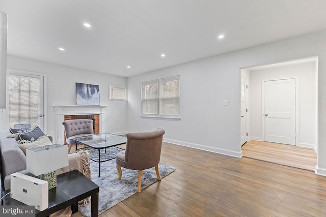 living room with a fireplace and hardwood / wood-style flooring