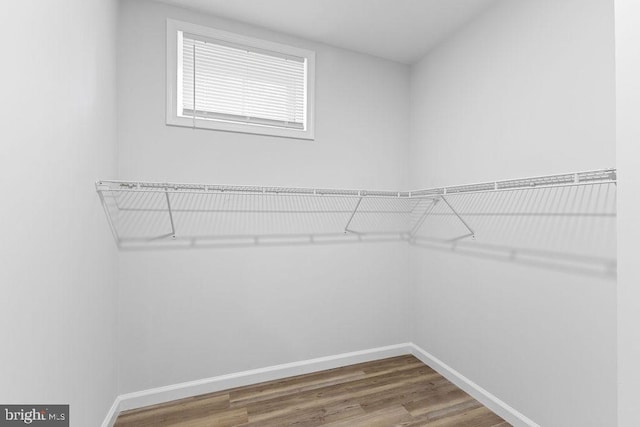 walk in closet with hardwood / wood-style floors