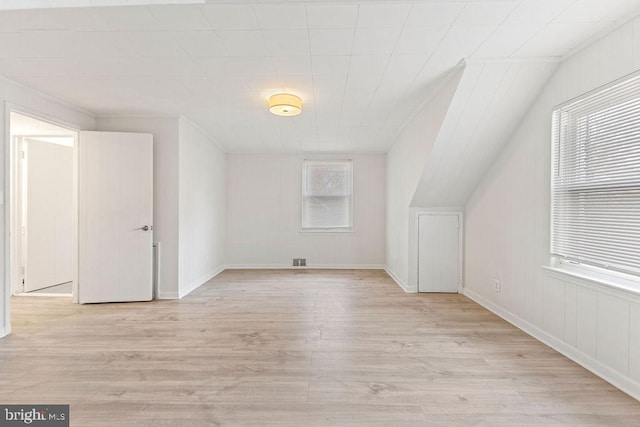 bonus room featuring light hardwood / wood-style floors and plenty of natural light