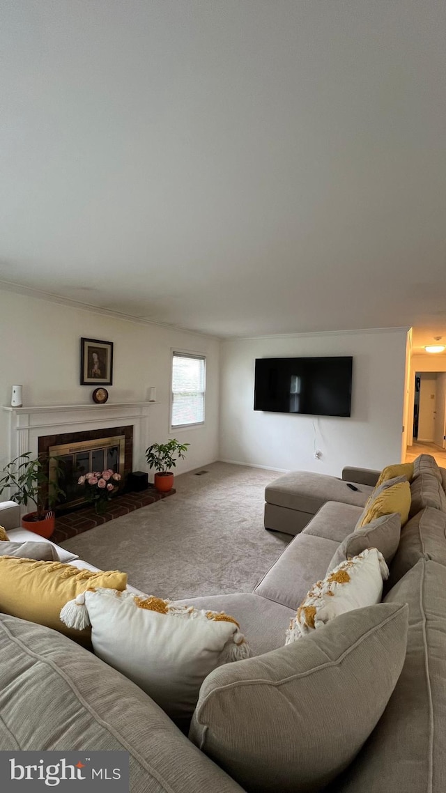 living room featuring crown molding