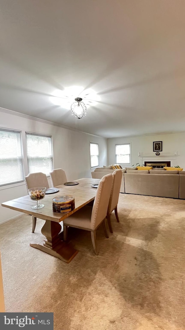 dining area with crown molding and light carpet