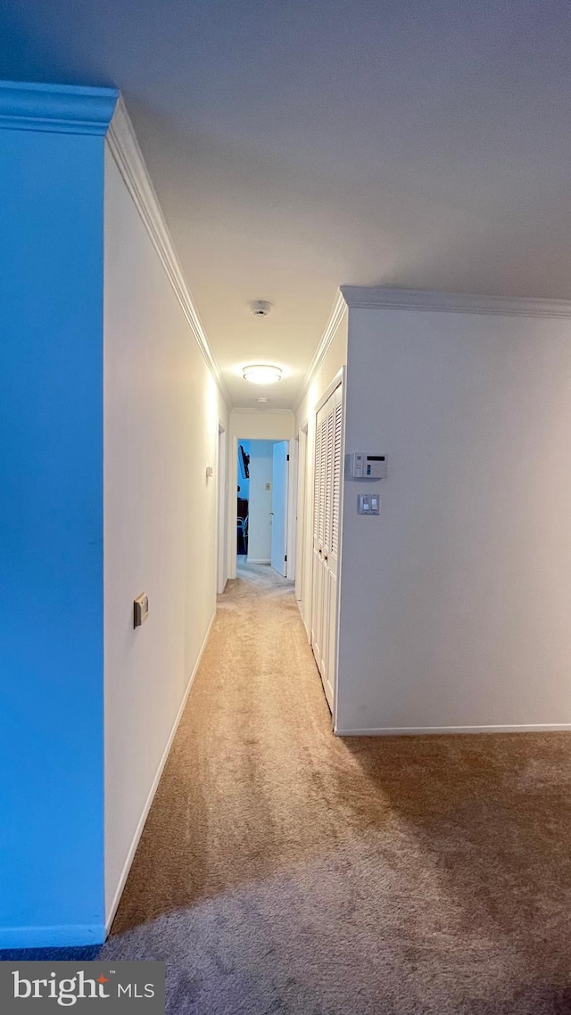 corridor featuring light colored carpet and ornamental molding