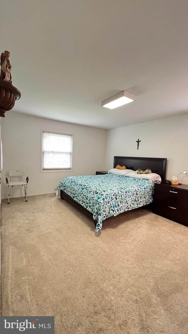 bedroom with carpet floors