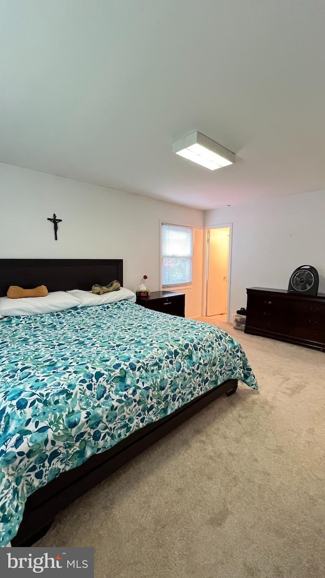 bedroom featuring carpet