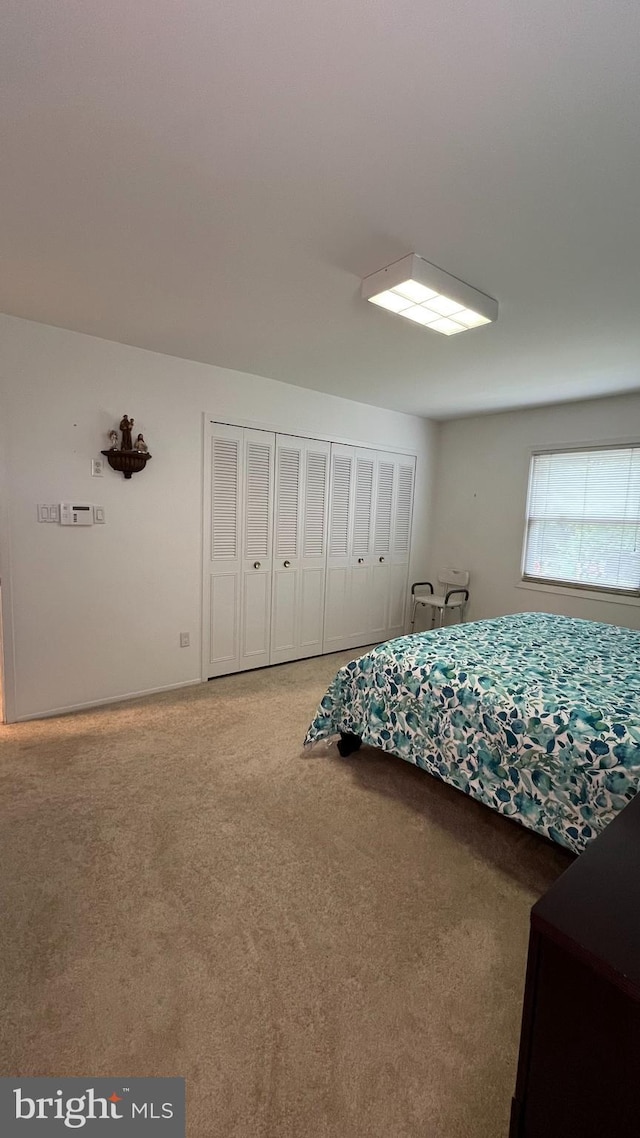 bedroom featuring light colored carpet and a closet