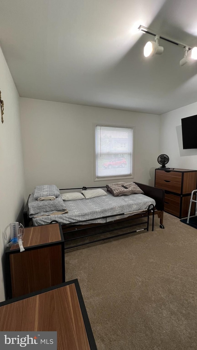 bedroom featuring carpet floors and track lighting