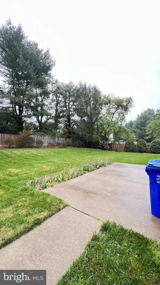 view of yard featuring a patio area