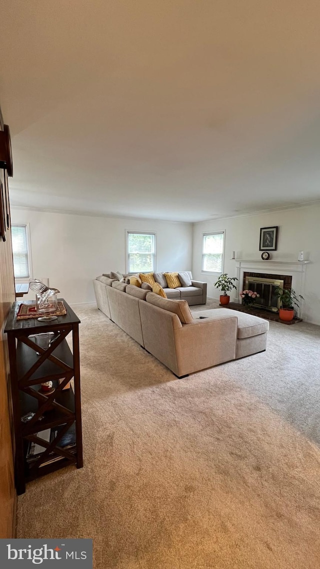 view of carpeted living room