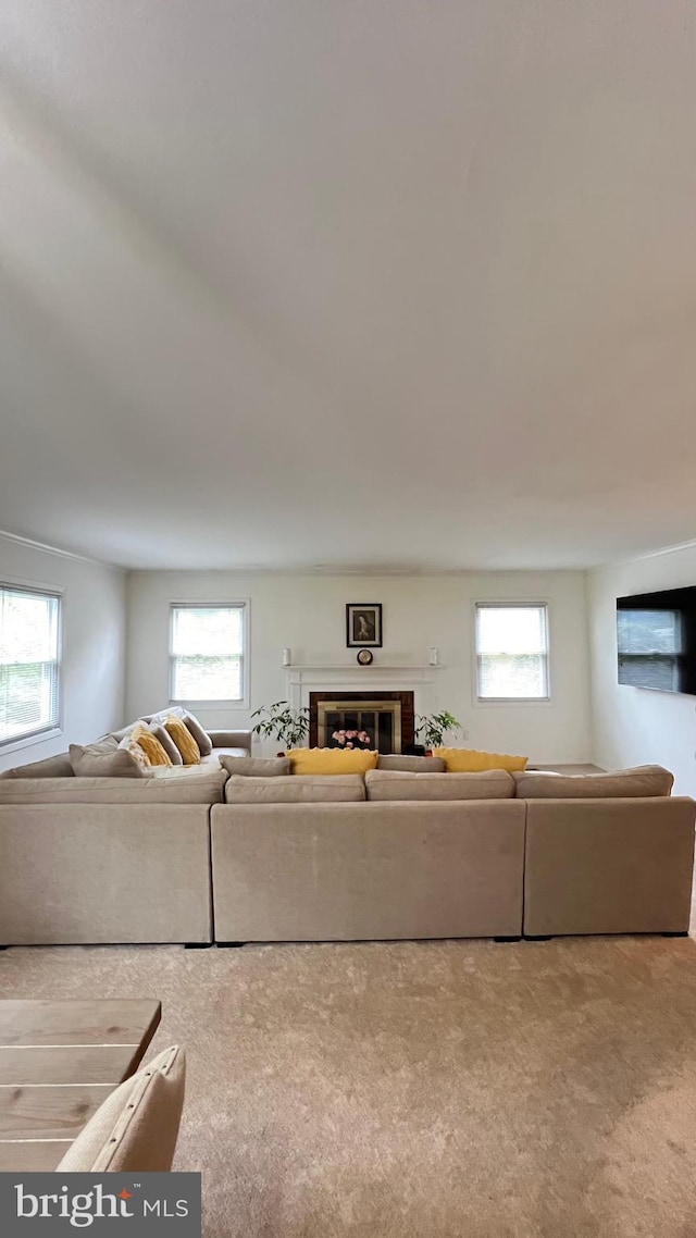 unfurnished living room featuring a fireplace and carpet floors