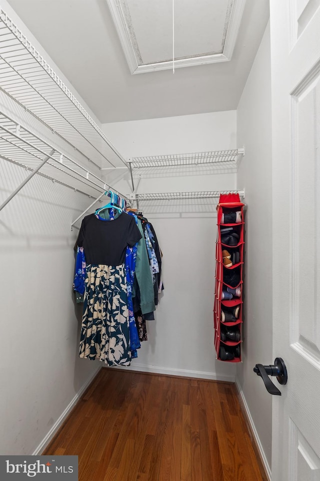 spacious closet featuring wood-type flooring