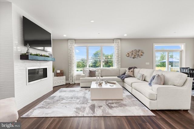 living room featuring a large fireplace and dark wood-type flooring