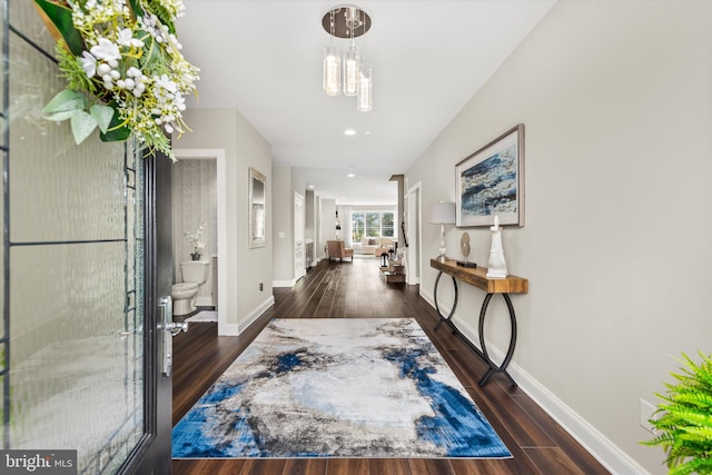 foyer with a chandelier and dark hardwood / wood-style floors