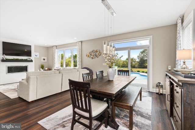 dining area featuring dark wood-type flooring