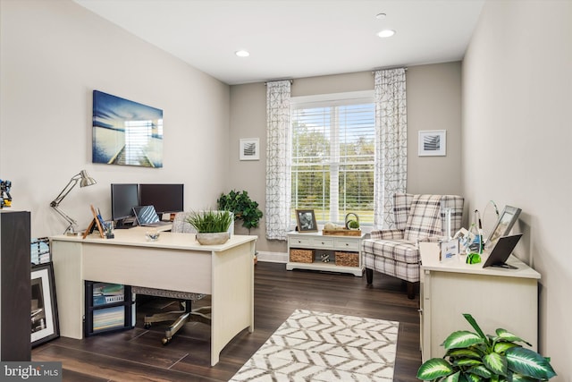 office space featuring dark hardwood / wood-style flooring