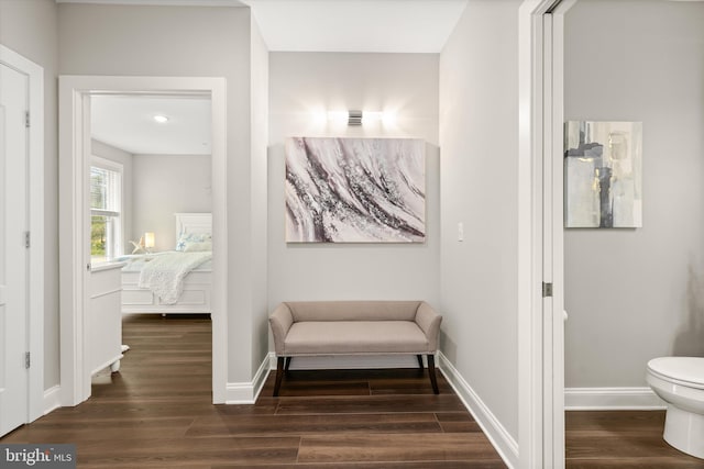 bathroom with hardwood / wood-style flooring and toilet