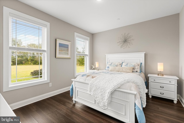 bedroom with multiple windows and dark wood-type flooring